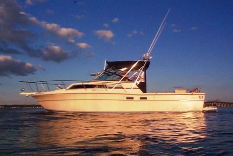 Used Boats For Sale in Providence, RI by owner | 1989 28 foot Wellcraft Coastal